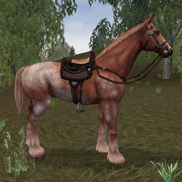 Appaloosa-Kriegspferd